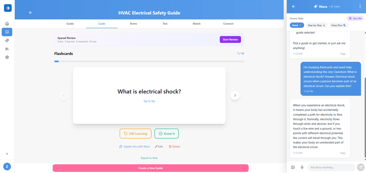 Nora explaining a flashcard