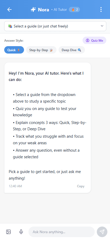 Nora AI tutor welcome screen